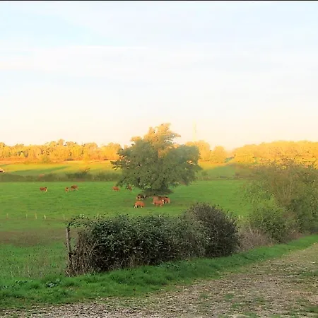 A Avec Jardin Apartment